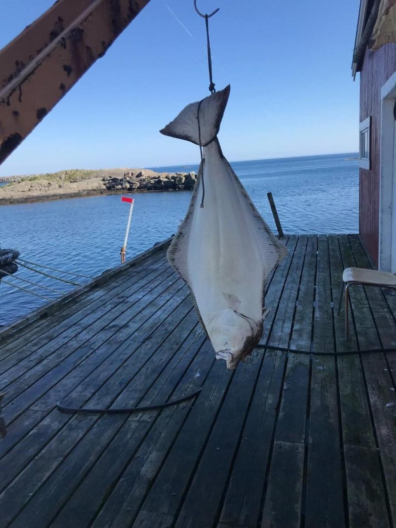 Fjordview Ryten 2 Retreat Sund  外观 照片